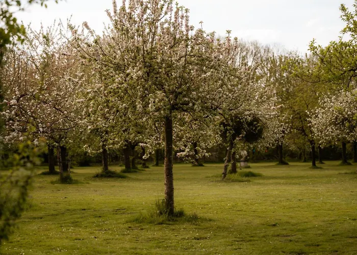 Corneli Residences - Chateau St Gerlach *