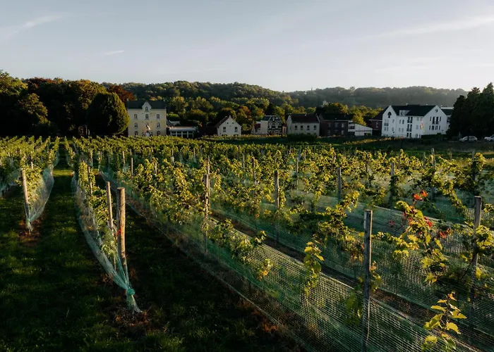 Corneli Residences - Chateau St Gerlach * ファルケンブルフ