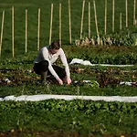 Corneli Residences - Chateau St Gerlach Apartmán Valkenburg aan de Geul