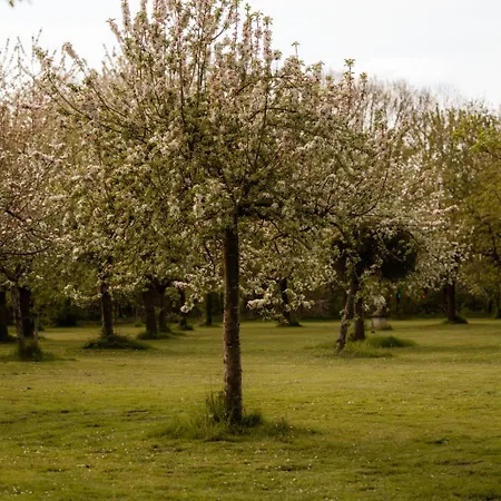 Corneli Residences - Chateau St Gerlach *