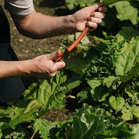 Apartment Corneli Residences - Chateau St Gerlach