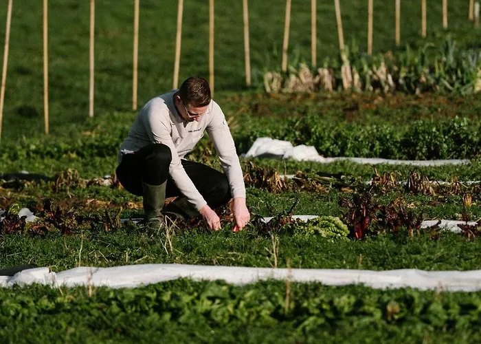 Corneli Residences - Chateau St Gerlach 公寓 法尔肯堡